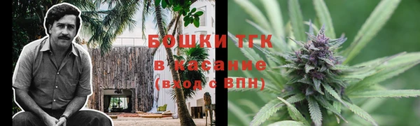 стафф Кулебаки