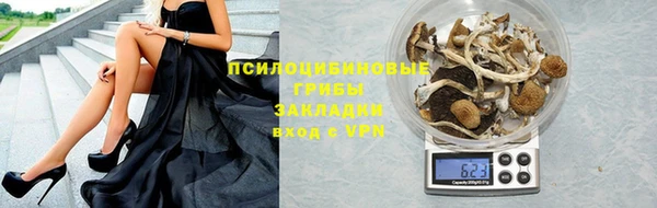 МДПВ Куйбышев