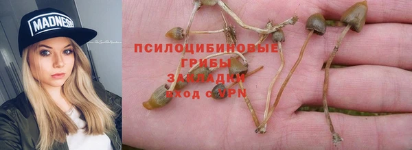 стафф Кулебаки
