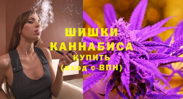 стафф Кулебаки