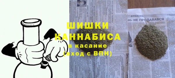 стафф Кулебаки